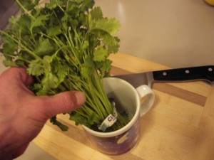 Remove Leaves from the bas area & make a clean cut across the bottom of the stems befor putting the bunch into a cup with a little water in it.