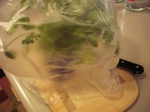 Put a produce bag loosly over the whole thing and keep it in the refrigerator.